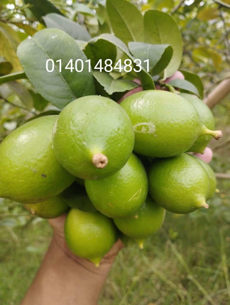 WhatsApp-Image-2026-04-20-at-10.49.14-PM-771x1024